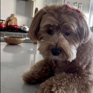 Meet your Posher, Charmaine